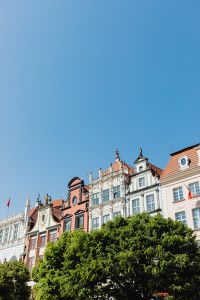 Kaboompics - Vertical Gdańsk Townhouse Facades and Rooftops Behind Green Tree Canopy