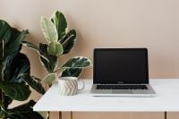 Kaboompics - Laptop and Coffee with a Large Rubber Plant in Home Office