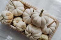 Kaboompics - White Mini Pumpkins in a Wicker Tray Close Up