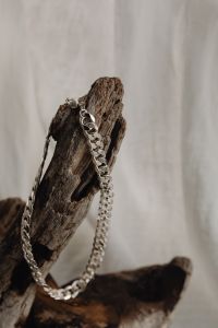 Kaboompics - Silver Chain Necklace Draped over Vertical Driftwood