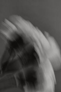 Kaboompics - Black and White Ruffled Flower Macro