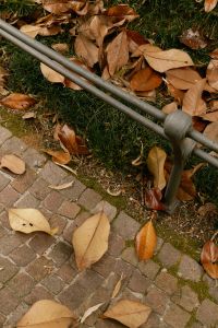 Kaboompics - Fallen Autumn Leaves Beside A Brick Garden Path