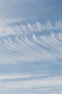 Kaboompics - Vertical Wispy Clouds in a Pale Blue Sky for Minimal Wallpaper