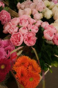 Kaboompics - Fresh Pink Peonies with Green Leaves, Flower Shop Close Up