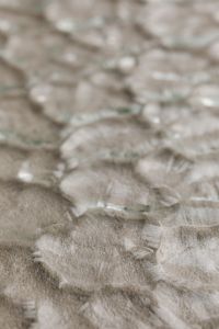 Kaboompics - Blurred Foreground over a Textured Glass Surface