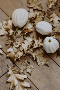 Kaboompics - White pumpkins with golden oak leaves