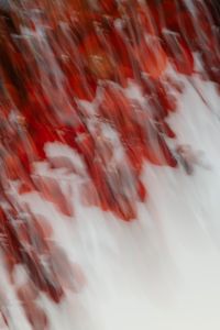 Kaboompics - Red and White Motion Blur Leaves Background