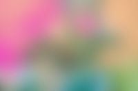 Kaboompics - Abstract Blurred Magenta, Teal and Orange Colors