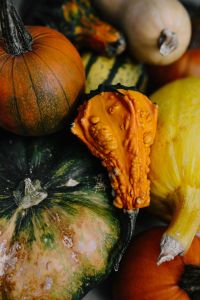 Kaboompics - Variety of Pumpkins