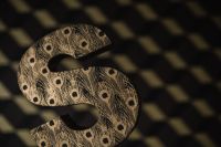 Kaboompics - Decorative Letter "S"