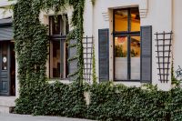 Kaboompics - The building is covered with a climbing vine, 11 Roosevelta Street, Łódź, Poland