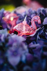 Kaboompics - Flamingo light garland & pink flowers