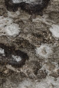 Kaboompics - Close Up of Speckled Gray and Brown Rock Texture