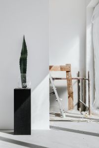 Kaboompics - Agave Leaf Pedestal Beside Sunlit Doorway And Wooden Ladder