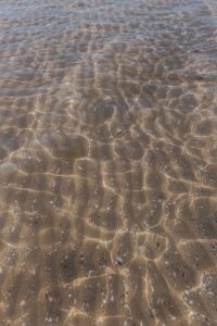 Kaboompics - Bright Sun Patterns Beneath Clear Shallow Beach Water
