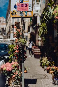 Kaboompics - Flower Stall and Potted Plants Along a Naples Sidewalk