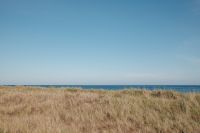 Kaboompics - Dry Dune Grass with Ocean Horizon