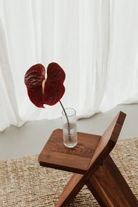 Kaboompics - Blooming Flower in Vase on Wooden Chair - A Charming Still Life Collection