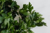 Kaboompics - Soft-Focus Parsley Leaves in the Foreground, White Copy-Space Herb Background for Food Design