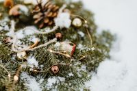 Kaboompics - Snow-Dusted Evergreen Branches With Pine Cone Decorations