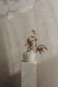 Kaboompics - White Ceramic Vase with Dried Ferns Against Textured Plaster Wall