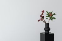 Kaboompics - Sculptural Black Vase and Flowers on a Dark Display Plinth