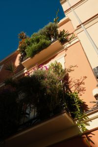 Kaboompics - Flower-Filled Balcony on a Malaga Building