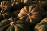 Kaboompics - Mottled Heirloom Pumpkins in Warm Light