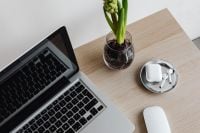 Kaboompics - Overhead Laptop Workspace with Green Plant, AirPods and Mouse