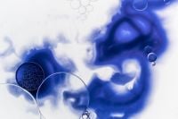 Kaboompics - Blue And White Fluid With Organic Ink Movement