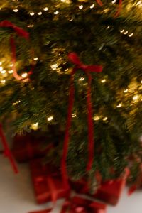 Kaboompics - Motion Blur Close Up of Evergreen Branches with Red Ribbon Bows