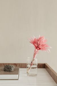 Kaboompics - Books on a Marble Top Console