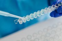Kaboompics - Pipette Filling Microtube Strip for STEM Experiment