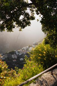 Kaboompics - Hazy Tyrrhenian Sea View beneath Mediterranean Tree Canopy