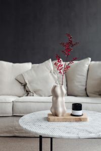 Kaboompics - Red Branch and Sculptural Vase on a Coffee Table