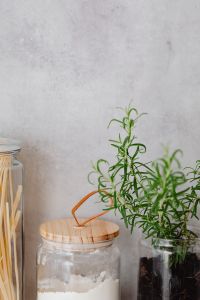 Kaboompics - Minimal White Kitchen Background with Rosemary Sprigs and Generous Copy Space