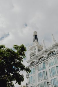 Kaboompics - Vertical Madrid Rooftop Tower and White Facade Framed by a Tree Beneath Overcast Sky
