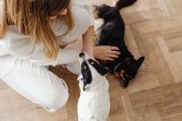 Kaboompics - Woman Sitting with Two Small Dogs at Home