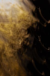 Kaboompics - Soft Golden Light Painting against Black, Vertical Abstract Background with Open Dark Space