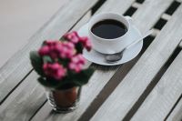 Kaboompics - Little pink flowers with a coffee