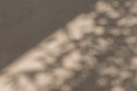 Kaboompics - Whispers of Beige - Captivating Shadow Backgrounds and Wallpapers in Warm Hues