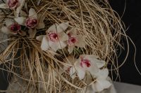 Kaboompics - Close-Up White Flowers and Dried Grass Texture