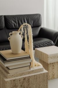 Kaboompics - Ceramic Vase and Dried Pampas on Books and Travertine Table