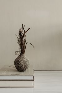 Kaboompics - Speckled Ceramic Vase with Dried Stems and Copy Space on a Beige Background