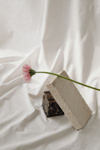 Kaboompics - Minimal Flower Study with Folded White Textile