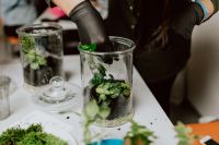 Kaboompics - Gloved Hands Planting a Green Houseplant in a Glass Jar Terrarium