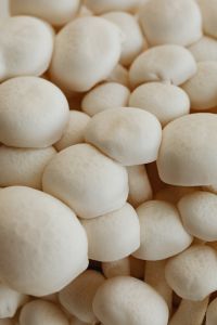 Kaboompics - White Mushroom Caps in a Soft Neutral Close-Up
