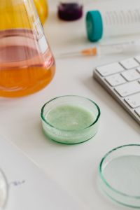 Kaboompics - Orange Flask and Green Petri Dish on Laboratory Desk