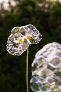 Kaboompics - Yellow Flower Wrapped in Soap Bubbles with Blurred Green Background