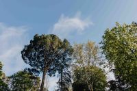 Kaboompics - The Buen Retiro Park in Madrid, Spain